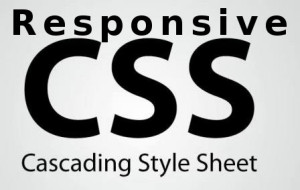 Css Cascading Style Sheet