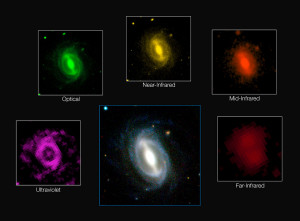 Immagine della Galassia da GAMA.