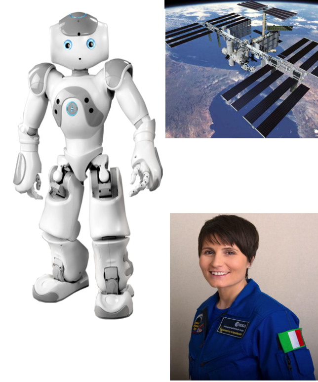 Nao Stazione Spaziale Internazionale